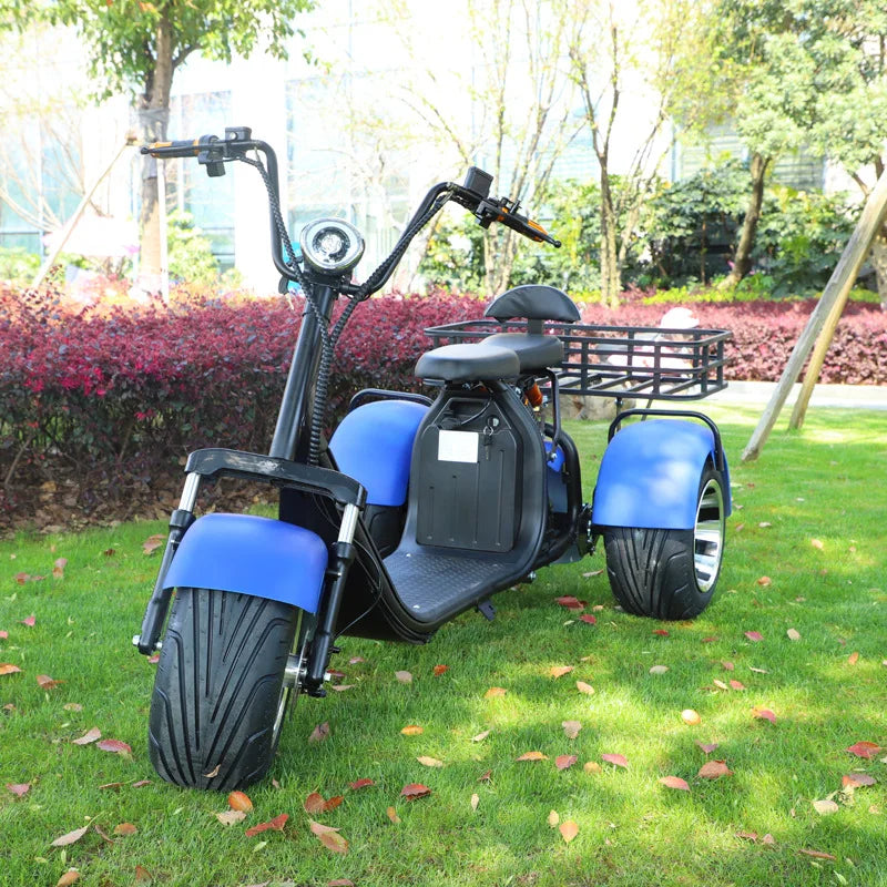 2000W Motor Electric Tricycle Snow Wide Tire Adult Commuting Leisure Mobility Scooter Comfortable Seat Basket Electric Scooter