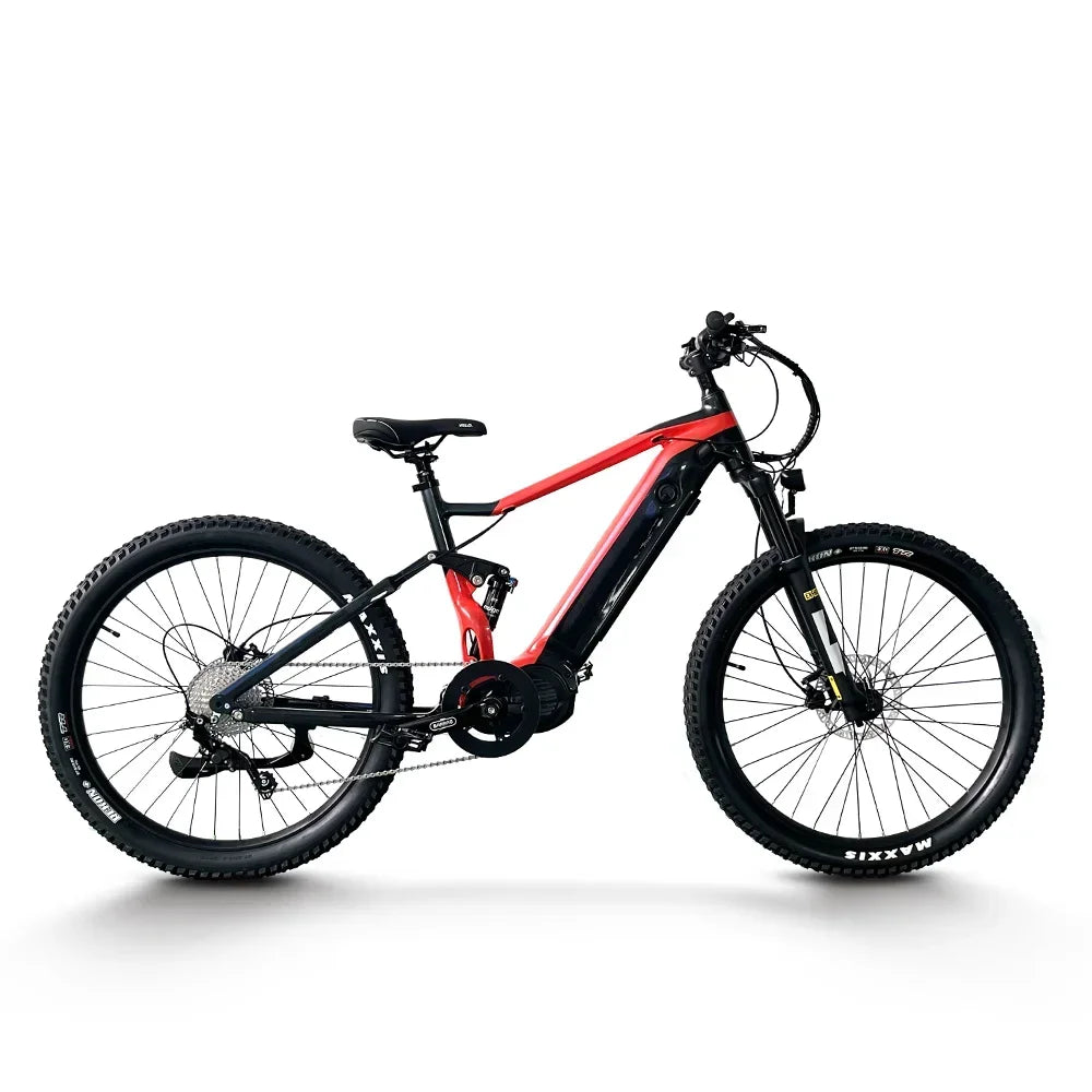 OEM ODM EU US 1000w Bafang Mid Motor Dirte Bike Full Suspension 2 Wheel Electric Moutain Bike E Mtb for Adults