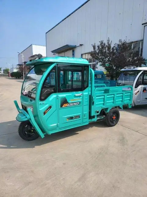 Tricycle Cargo for Disabled 3 Wheel Passenger Scooter Tuk  Adult Moto Bike Kids 1-6 Years Children Adults Electric Tricycles