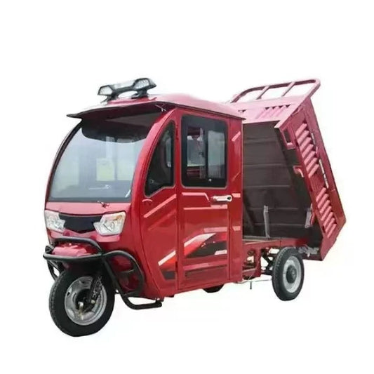 Tricycle Cargo for Disabled 3 Wheel Passenger Scooter Tuk  Adult Moto Bike Kids 1-6 Years Children Adults Electric Tricycles